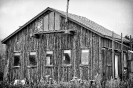Homesteader's Cabin
