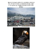 book_10