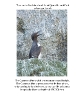 book_10