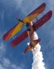 Wing Walking