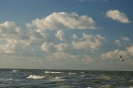 Gulfview with Egret