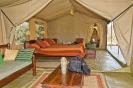 Roughing It