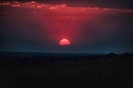 Sunset on the Savanna