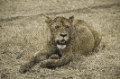 Kenya_3