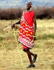 East African Safari