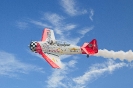 Flying_1