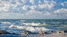 Gulf of Mexico with Egret, Captiva FL