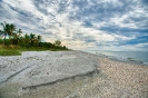 Sanibel Beach #6