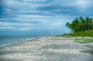Sanibel Beach #9