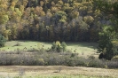 Vermont Pasture