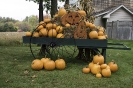Pumpkin Pandemonium