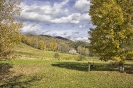 Pastoral Vermont