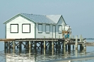 Fish House_2