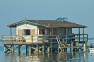 Fish House_4