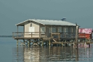 Fish House