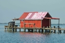 Fish House_3